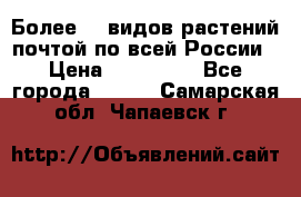 Более200 видов растений почтой по всей России › Цена ­ 100-500 - Все города  »    . Самарская обл.,Чапаевск г.